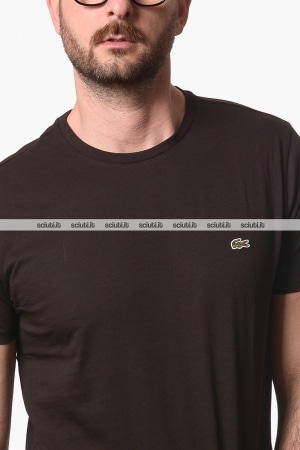 Tshirt Lacoste uomo marrone girocollo in jersey