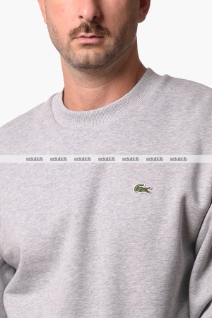 Felpa Lacoste uomo grigia girocollo classic fit
